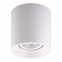 потолочный светильник denkirs dk3040-wh в Кургане