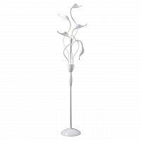 торшер lightstar cigno collo wt 751766 в Кургане