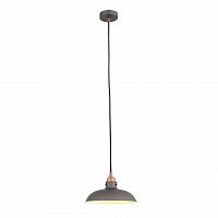 подвесной светильник st luce pietanza sl323.403.01 в Кургане