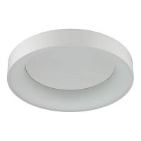 потолочный светодиодный светильник odeon light sole 4062/40cl в Кургане