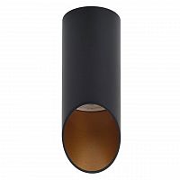 потолочный светильник denkirs dk2011-bk в Кургане