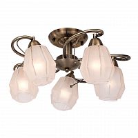 потолочная люстра silver light brazil 506.53.5 в Кургане