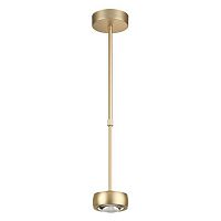 подвесной светодиодный светильник odeon light ottico 3874/10l в Кургане