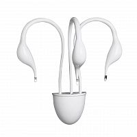 бра lightstar cigno collo wt 751636 в Кургане