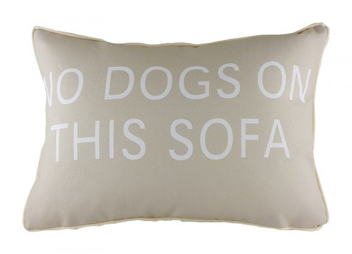 подушка с надписью no dogs on this sofa в Кургане