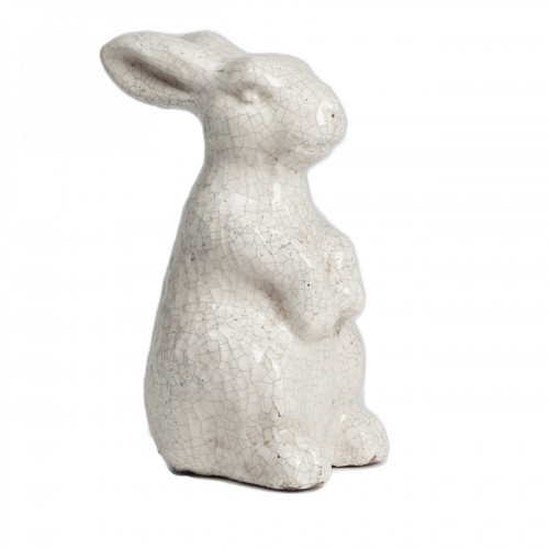 кролик декоративный rabbit в Кургане