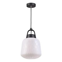 уличный подвесной светильник novotech conte 370601 в Кургане