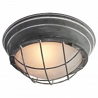 потолочный светильник lussole loft grlsp-9881 в Кургане