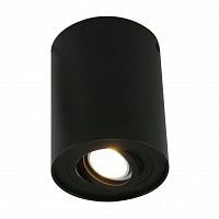потолочный светильник arte lamp a5644pl-1bk в Кургане