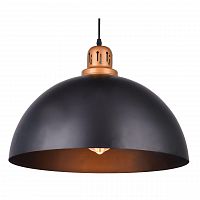 подвесной светильник arte lamp eurica a4249sp-1bk в Кургане