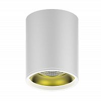 потолочный светодиодный светильник gauss overhead hd010 в Кургане