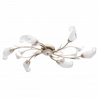 потолочная люстра mw-light восторг 242016906 в Кургане
