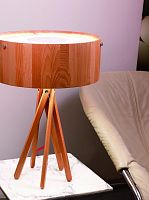 настольная лампа artpole eco 001278 в Кургане