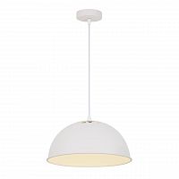 подвесной светильник arte lamp buratto a8173sp-1wh в Кургане