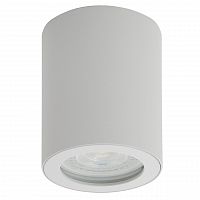 потолочный светильник denkirs dk3007-wh в Кургане