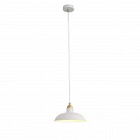 подвесной светильник st luce pietanza sl323.503.01 в Кургане