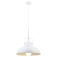 подвесной светильник arte lamp martin a5213sp-1wg в Кургане