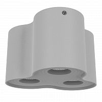 потолочный светильник lightstar binoco 052039 в Кургане