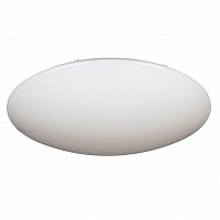 потолочный светодиодный светильник omnilux oml-43007-100 в Кургане