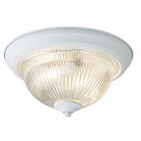 потолочный светильник arte lamp aqua a9370pl-2wh в Кургане
