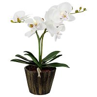 настольная лампа globo flowerpower 28002 в Кургане
