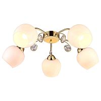 потолочная люстра arte lamp millo a9549pl-5go в Кургане