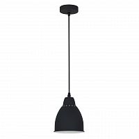 подвесной светильник arte lamp braccio a2054sp-1bk в Кургане