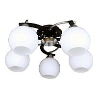потолочная люстра omnilux caldiero oml-25407-05 в Кургане