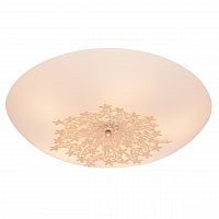 потолочный светильник silver light verbena 835.50.5 в Кургане