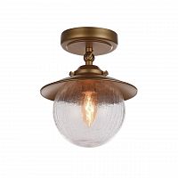 потолочный светильник favourite farola 2027-1u в Кургане