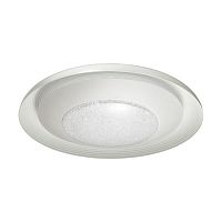 потолочный светодиодный светильник odeon light benso 4623/48cl в Кургане