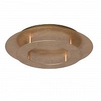 потолочный светильник mw-light галатея 452011701 в Кургане