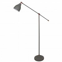 торшер arte lamp braccio a2054pn-1gy в Кургане