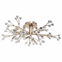 потолочная люстра mw-light адриатика 280011810 в Кургане