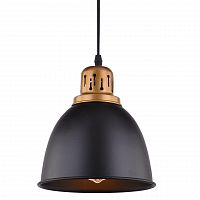 подвесной светильник arte lamp eurica a4245sp-1bk в Кургане