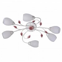 потолочная люстра mw-light восторг 242016406 в Кургане