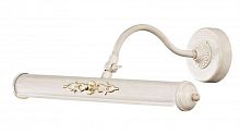 подсветка для картин st luce illuminazione sl574.501.02 в Кургане