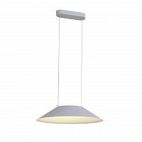 подвесной светодиодный светильник st luce pitto sl427.513.01 в Кургане