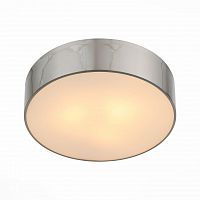 потолочный светильник st luce bagno sl468.502.01 в Кургане