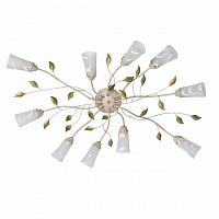 потолочная люстра mw-light восторг 242015510 в Кургане