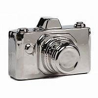 предмет декора camera серебряная в Кургане