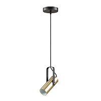 подвесной светильник lumion claire 3714/1 в Кургане