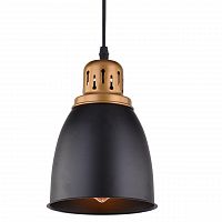 подвесной светильник arte lamp eurica a4248sp-1bk в Кургане