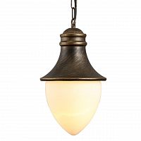 уличный подвесной светильник arte lamp vienna a1317so-1bn в Кургане
