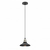подвесной светильник эра loft pl4 bk/bn в Кургане