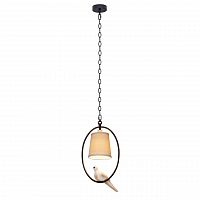 подвесной светильник loft it loft1029a-1 в Кургане