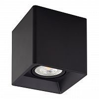 потолочный светильник denkirs dk3030-bk в Кургане