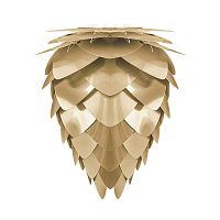 плафон conia brushed brass в Кургане
