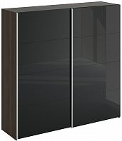 шкаф-купе slide 1700 черный в Кургане