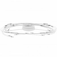 потолочный светильник lightstar ovale 784246 в Кургане